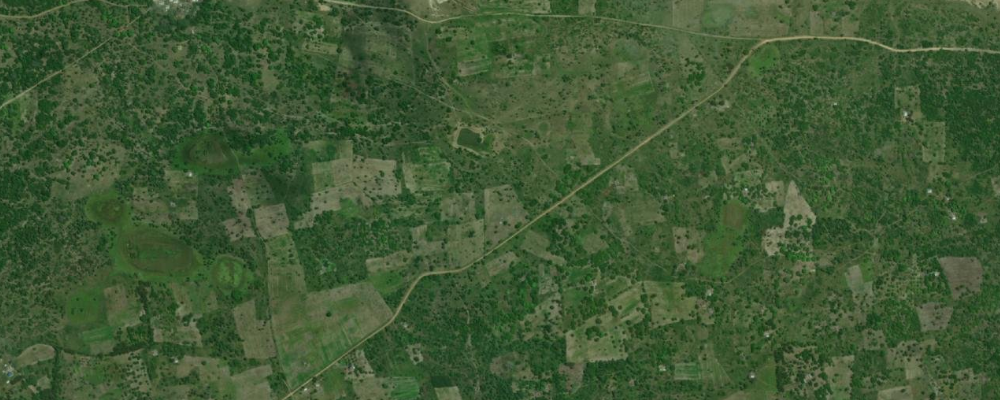 Reforested site satellite view